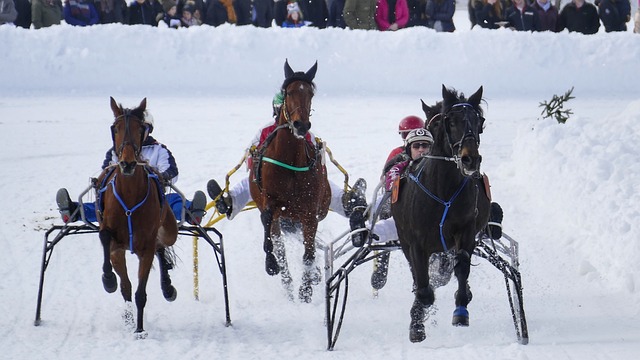 的环保责任 的环保责任
