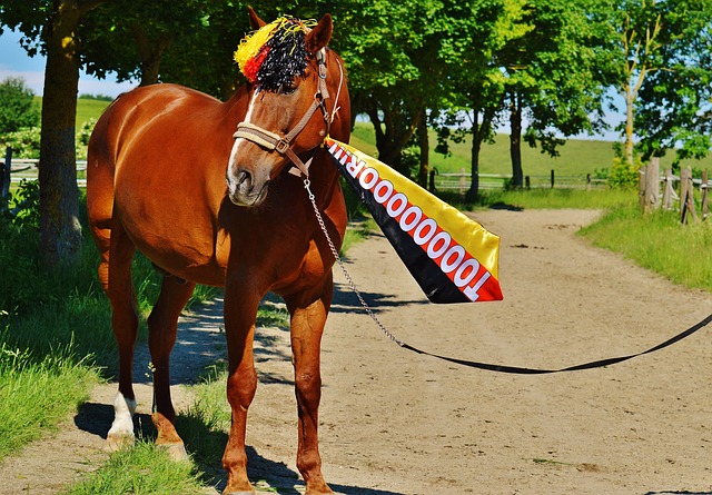 而王宝泉通 而王宝泉通