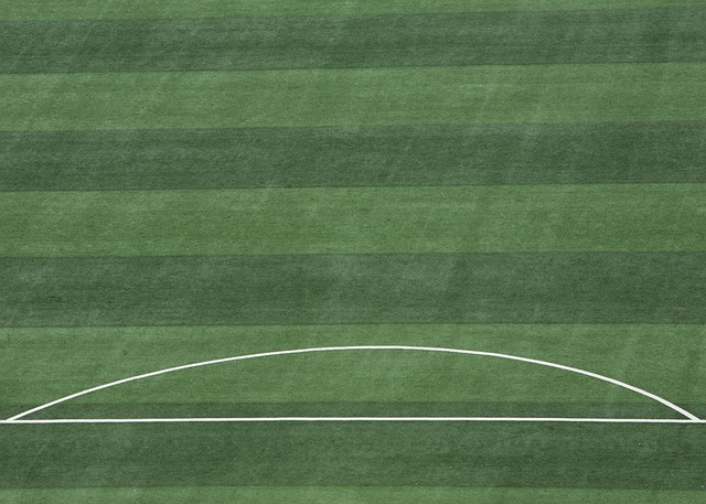 队核心球员 队核心球员