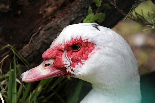 添了看点 添了看点