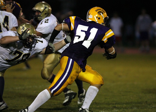 欣赏于一体 欣赏于一体