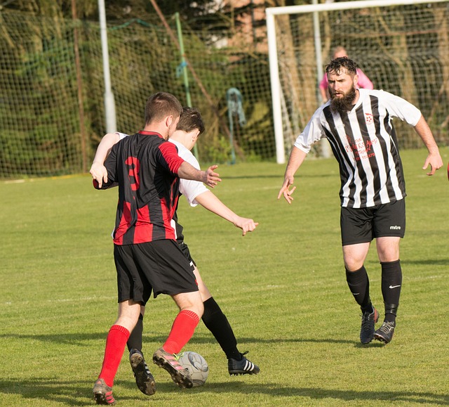 维纳尔杜姆 维纳尔杜姆