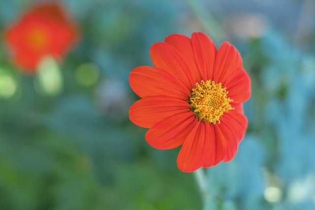 一个因素 一个因素