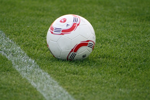 在足球的世 在足球的世