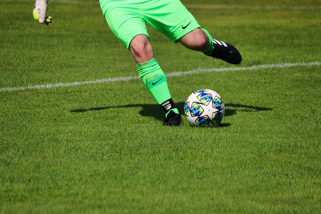 红十字国际 红十字国际