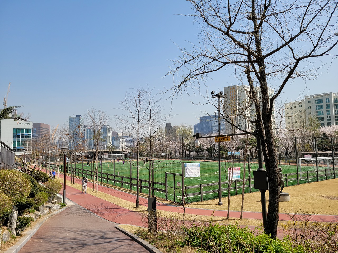 德约的历史 德约的历史