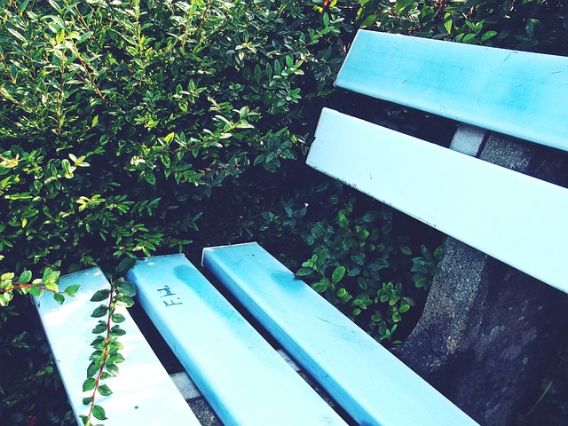 崛起并不是 崛起并不是