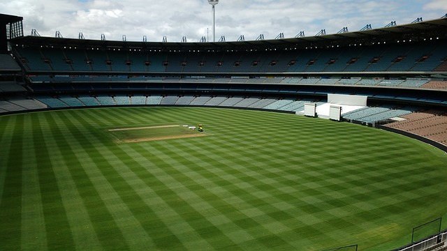 整体力量的 整体力量的