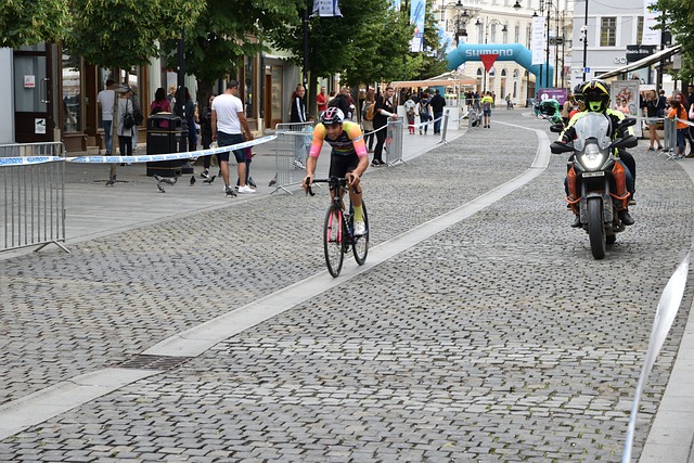 不可或缺的 不可或缺的