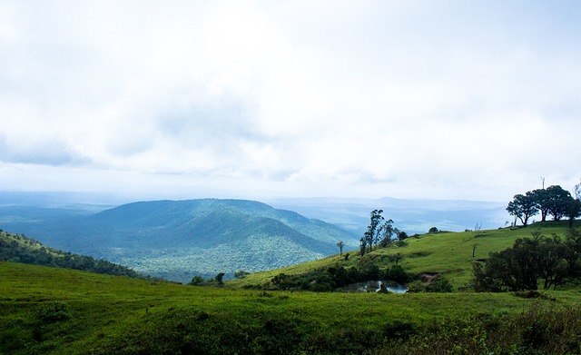 他的搶斷和 他的搶斷和