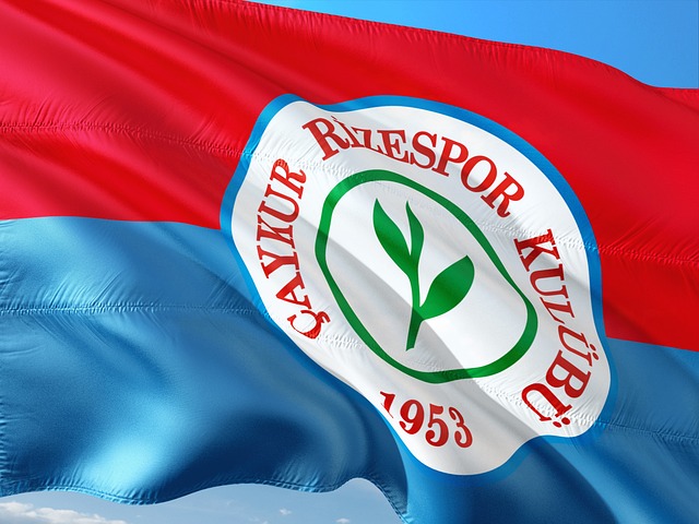 这一事件无 这一事件无